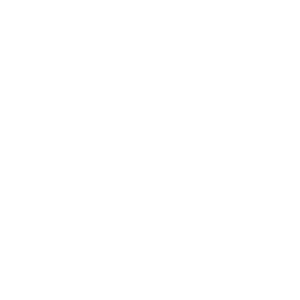 Natural Fruit Drinks Wildberry Puree